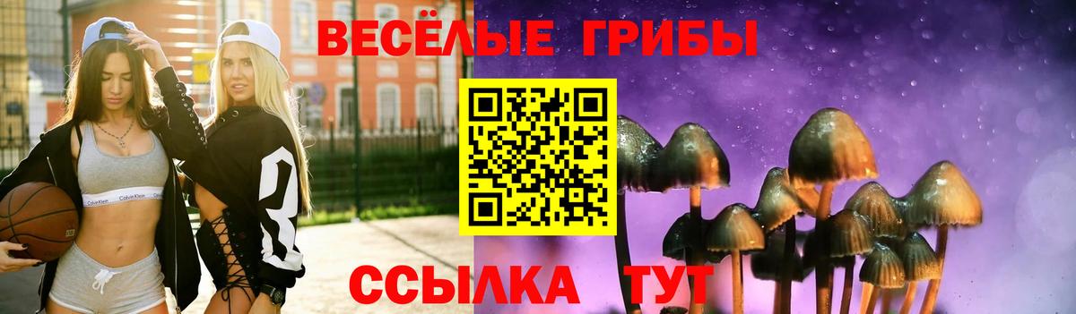 Галлюциногенные грибы Cubensis Туймазы